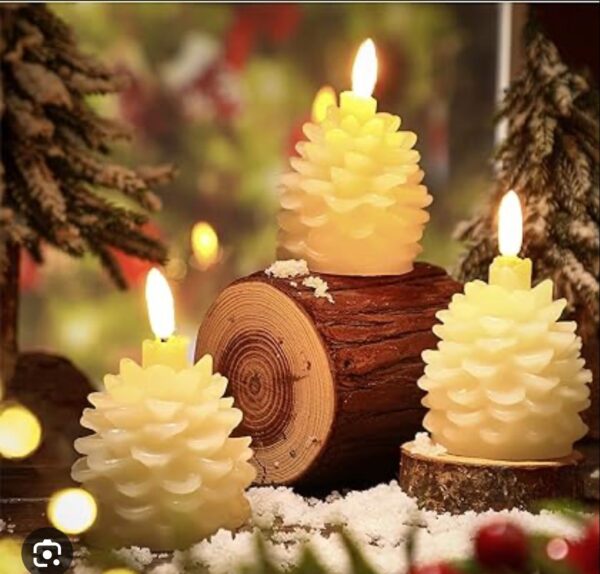 Pine Cone Candle Mold