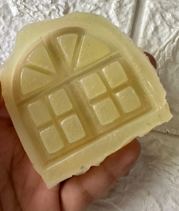 Window Mold 1