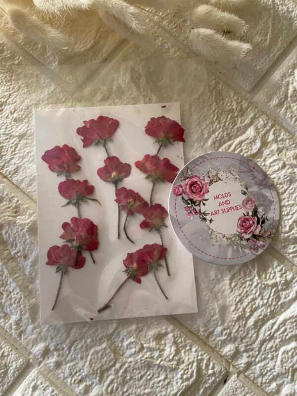 Mini Pressed Roses - Image 2