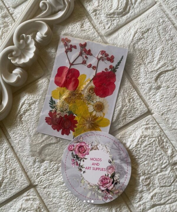 Pressed Flowers Budget Pack 1