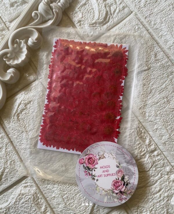 Pressed Red Daisy 100 pc pack