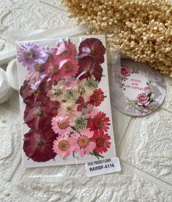 Pressed Flower Pack 5