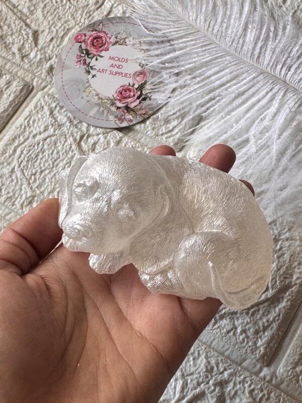 Dog Mold