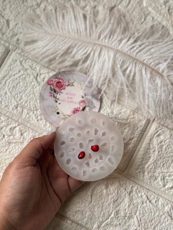 Pomegranate Seeds Mold